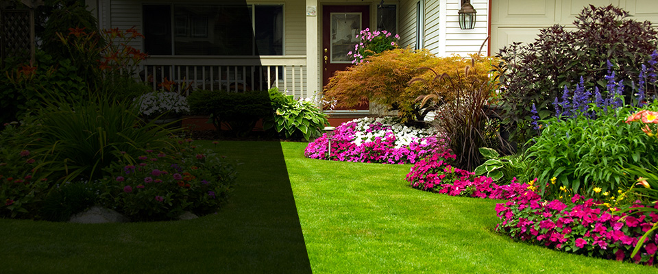 Marianna Landscapers