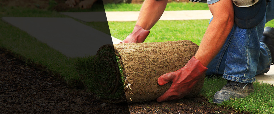 Marianna Landscapers